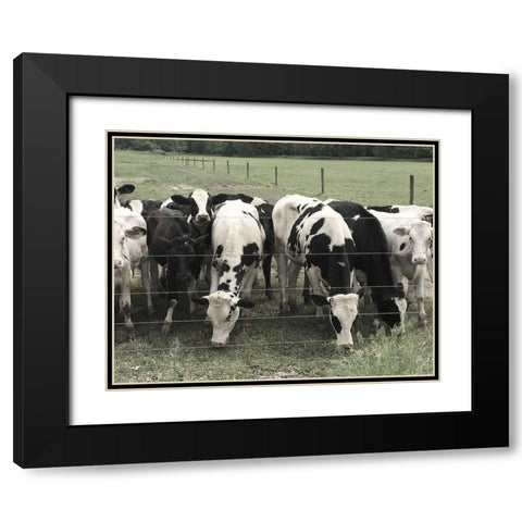 Grass is Greener Black Modern Wood Framed Art Print with Double Matting by Nan