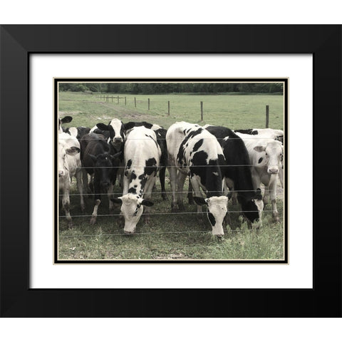 Grass is Greener Black Modern Wood Framed Art Print with Double Matting by Nan