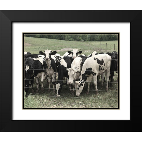 Mooove Over Black Modern Wood Framed Art Print with Double Matting by Nan