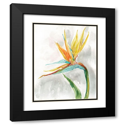 Bird of Paradise II Black Modern Wood Framed Art Print with Double Matting by Robinson, Carol