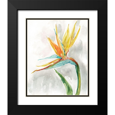 Bird of Paradise II Black Modern Wood Framed Art Print with Double Matting by Robinson, Carol