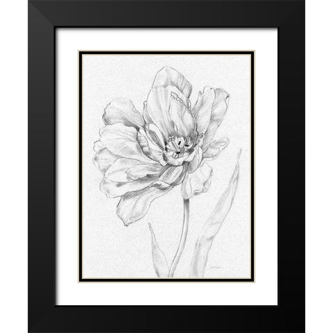 Tulip Sketch Black Modern Wood Framed Art Print with Double Matting by Robinson, Carol