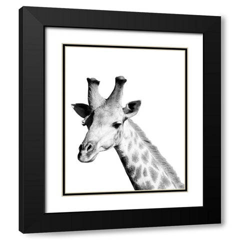 Safari Giraffe Black Modern Wood Framed Art Print with Double Matting by Hopkins, Cindy Miller