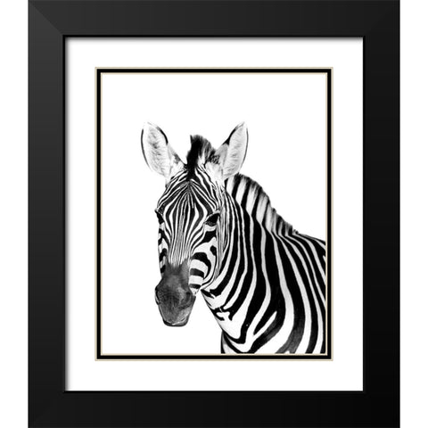 Safari Zebra Black Modern Wood Framed Art Print with Double Matting by Westmoreland, Robin