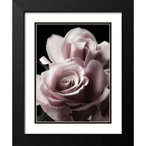Rose Noir II Black Modern Wood Framed Art Print with Double Matting by Miller, Anna