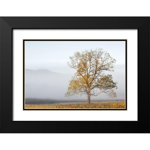 Cades Cove Black Modern Wood Framed Art Print with Double Matting by Collins, Ann