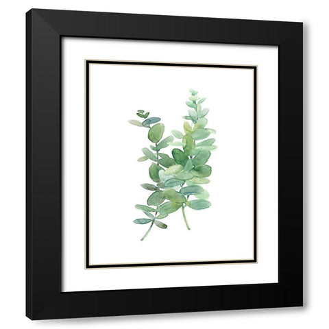 Eucalyptus I Black Modern Wood Framed Art Print with Double Matting by Robinson, Carol