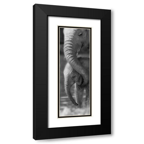 Morning Moment Black Modern Wood Framed Art Print with Double Matting by Westmorland, Michele
