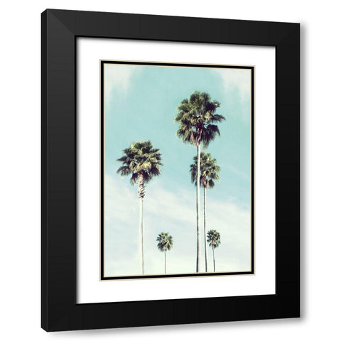 Vintage Palm Black Modern Wood Framed Art Print with Double Matting by Carpentieri, Natalie