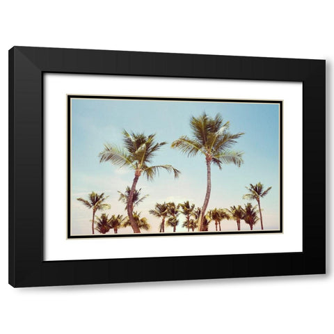 Aruba Palm Black Modern Wood Framed Art Print with Double Matting by Carpentieri, Natalie