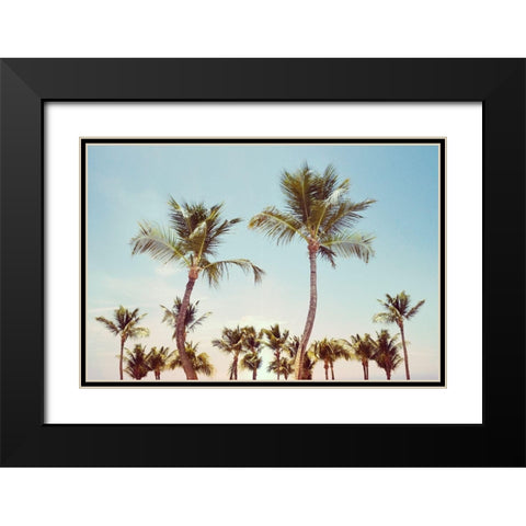 Aruba Palm Black Modern Wood Framed Art Print with Double Matting by Carpentieri, Natalie