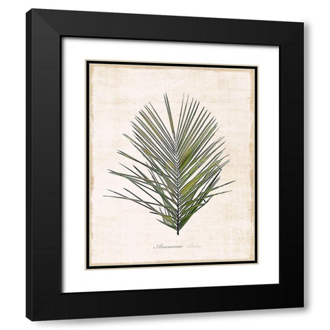 Palm Botanical I Black Modern Wood Framed Art Print with Double Matting by Carpentieri, Natalie