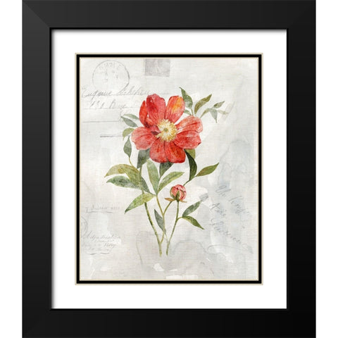 Linen Peony Black Modern Wood Framed Art Print with Double Matting by Robinson, Carol
