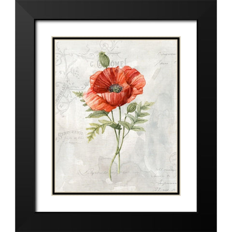 Linen Poppy Black Modern Wood Framed Art Print with Double Matting by Robinson, Carol
