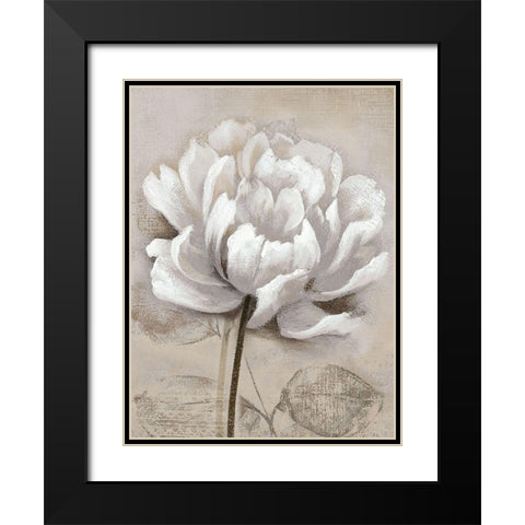 Soft White I Black Modern Wood Framed Art Print with Double Matting by Nan