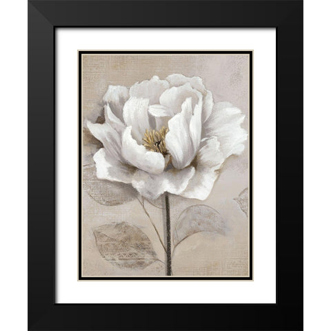 Soft White II Black Modern Wood Framed Art Print with Double Matting by Nan