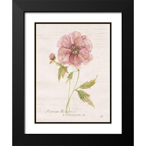 Soft Peony Black Modern Wood Framed Art Print with Double Matting by Robinson, Carol