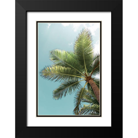 Palm Verde Black Modern Wood Framed Art Print with Double Matting by Monkman, Jerry and Marcy
