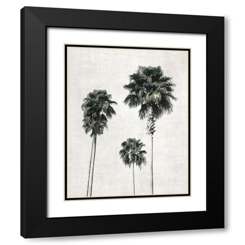 Sketchbook Palm Black Modern Wood Framed Art Print with Double Matting by Carpentieri, Natalie