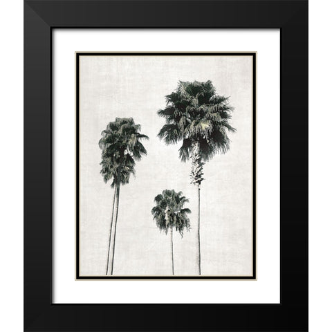 Sketchbook Palm Black Modern Wood Framed Art Print with Double Matting by Carpentieri, Natalie