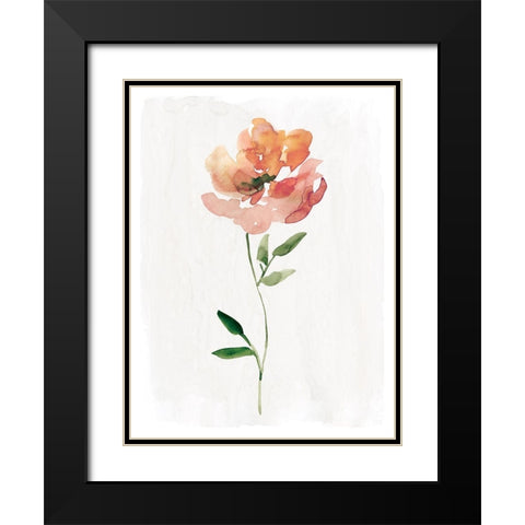 Happy Bloom I Black Modern Wood Framed Art Print with Double Matting by Robinson, Carol