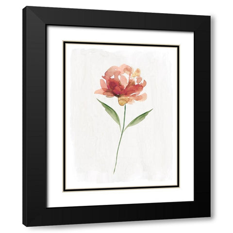 Happy Bloom II Black Modern Wood Framed Art Print with Double Matting by Robinson, Carol