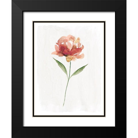 Happy Bloom II Black Modern Wood Framed Art Print with Double Matting by Robinson, Carol