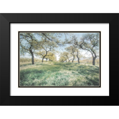 Charming Spring Mood Black Modern Wood Framed Art Print with Double Matting by Weisz, Irene