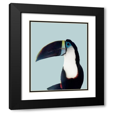 Aruba Wildlife Black Modern Wood Framed Art Print with Double Matting by Carpentieri, Natalie