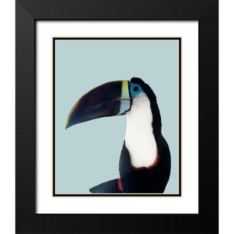 Aruba Wildlife Black Modern Wood Framed Art Print with Double Matting by Carpentieri, Natalie
