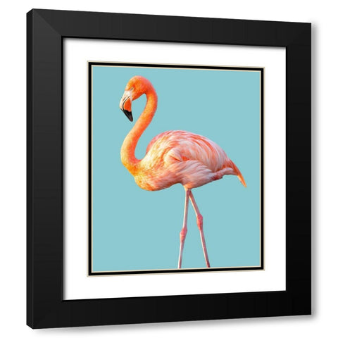 Flamingo Black Modern Wood Framed Art Print with Double Matting by Jannsen, Brian