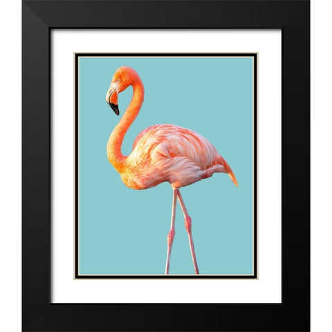 Flamingo Black Modern Wood Framed Art Print with Double Matting by Jannsen, Brian
