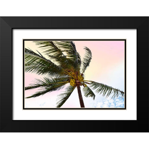 Palm Breeze Black Modern Wood Framed Art Print with Double Matting by Carpentieri, Natalie