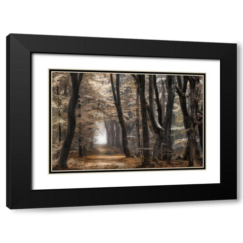 Forest Dimension Black Modern Wood Framed Art Print with Double Matting by Van de Goor, Lars