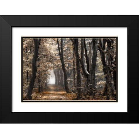 Forest Dimension Black Modern Wood Framed Art Print with Double Matting by Van de Goor, Lars