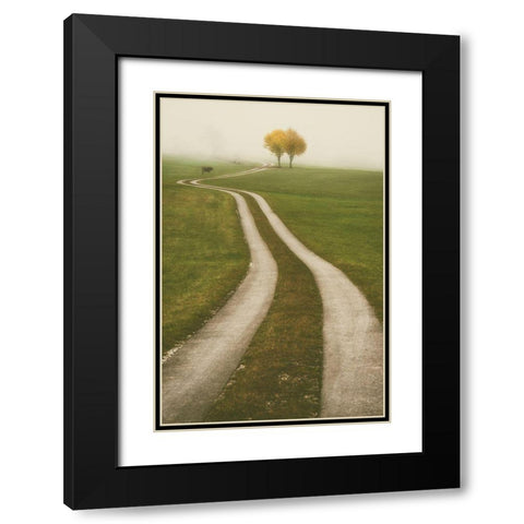 Winding Path Black Modern Wood Framed Art Print with Double Matting by Van de Goor, Lars