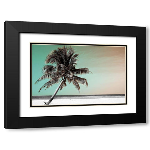 Barrier Reef Black Modern Wood Framed Art Print with Double Matting by Delimont, Danita