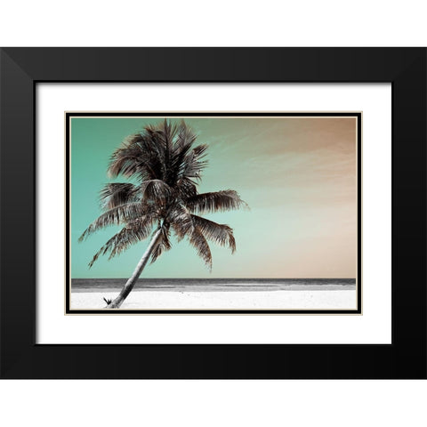 Barrier Reef Black Modern Wood Framed Art Print with Double Matting by Delimont, Danita