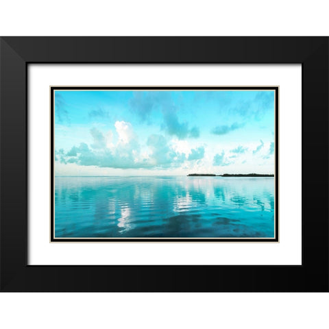 Biscayne Bay Black Modern Wood Framed Art Print with Double Matting by Delimont, Danita