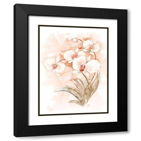 White and Coral Orchid II Black Modern Wood Framed Art Print with Double Matting by Nan