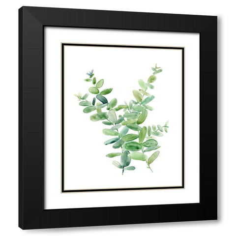 Eucalyptus III Black Modern Wood Framed Art Print with Double Matting by Robinson, Carol