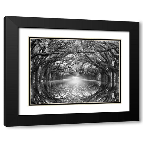 Oak Alley Reflection Black Modern Wood Framed Art Print with Double Matting by Wells, Joanne