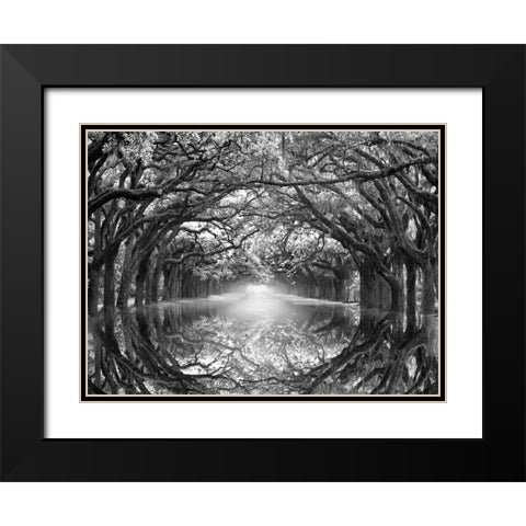 Oak Alley Reflection Black Modern Wood Framed Art Print with Double Matting by Wells, Joanne