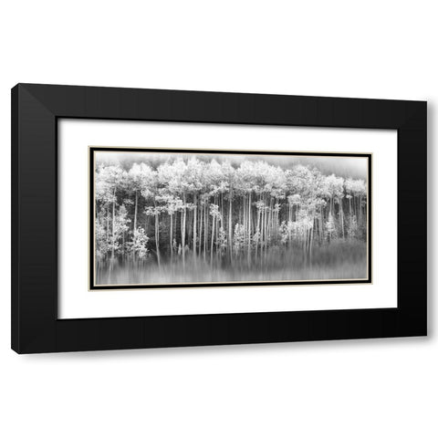 Dreamy Aspen Black Modern Wood Framed Art Print with Double Matting by Miller, Anna