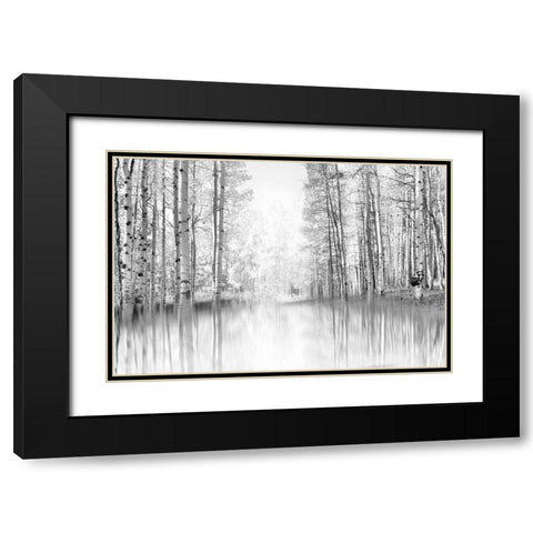 Aspen Reflection Black Modern Wood Framed Art Print with Double Matting by Gulin, Darrell