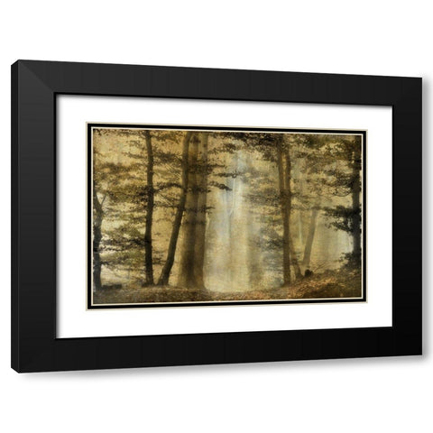 Golden Magic Black Modern Wood Framed Art Print with Double Matting by Weisz, Irene
