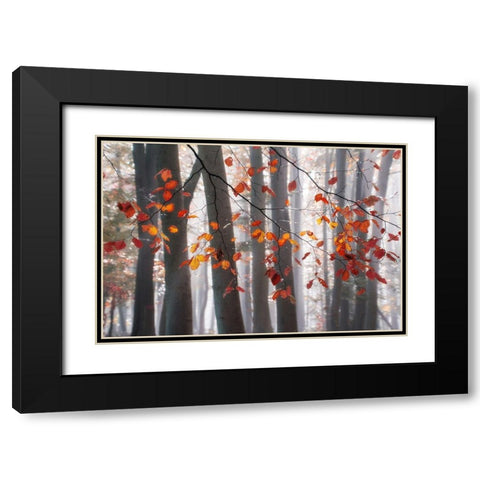 Falling Moments Black Modern Wood Framed Art Print with Double Matting by Weisz, Irene