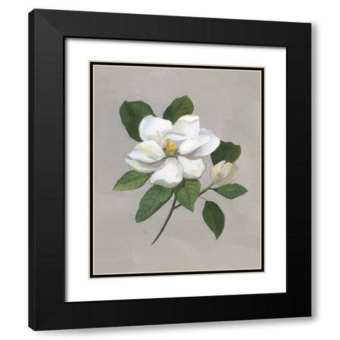 Botanical Magnolia Black Modern Wood Framed Art Print with Double Matting by Nan