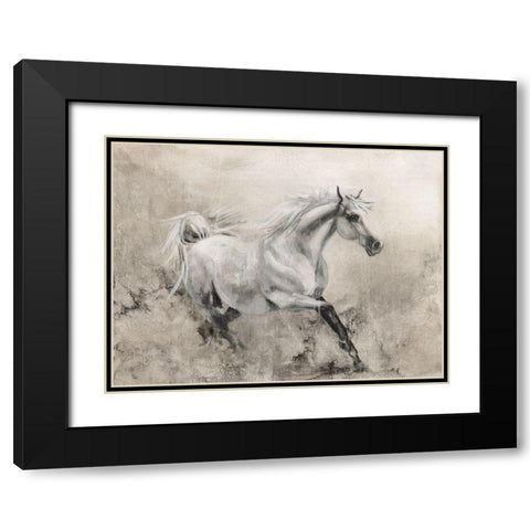 Majestic Stallion I Black Modern Wood Framed Art Print with Double Matting by Brooks, Donna