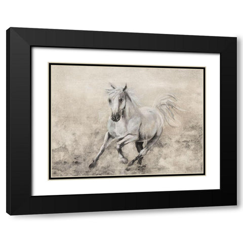 Majestic Stallion II Black Modern Wood Framed Art Print with Double Matting by Brooks, Donna